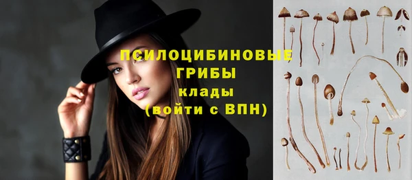 шишки Богданович