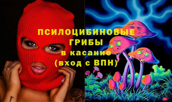 шишки Богданович