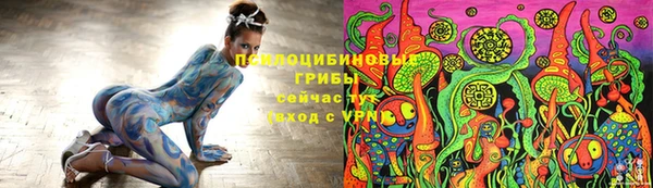 мет Корсаков