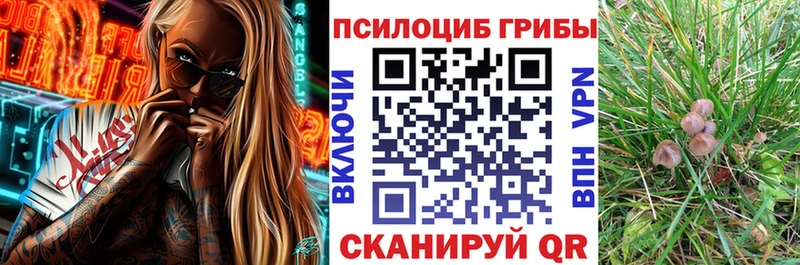 Галлюциногенные грибы Magic Shrooms  купить   Мураши 